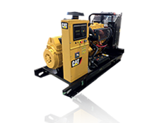 DE220E0(218 kVA)